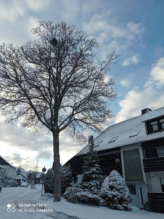 Winterberg Centrum Ssc Sommercard Eksteriør billede